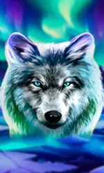 Wolf Fang - Northern Spirits